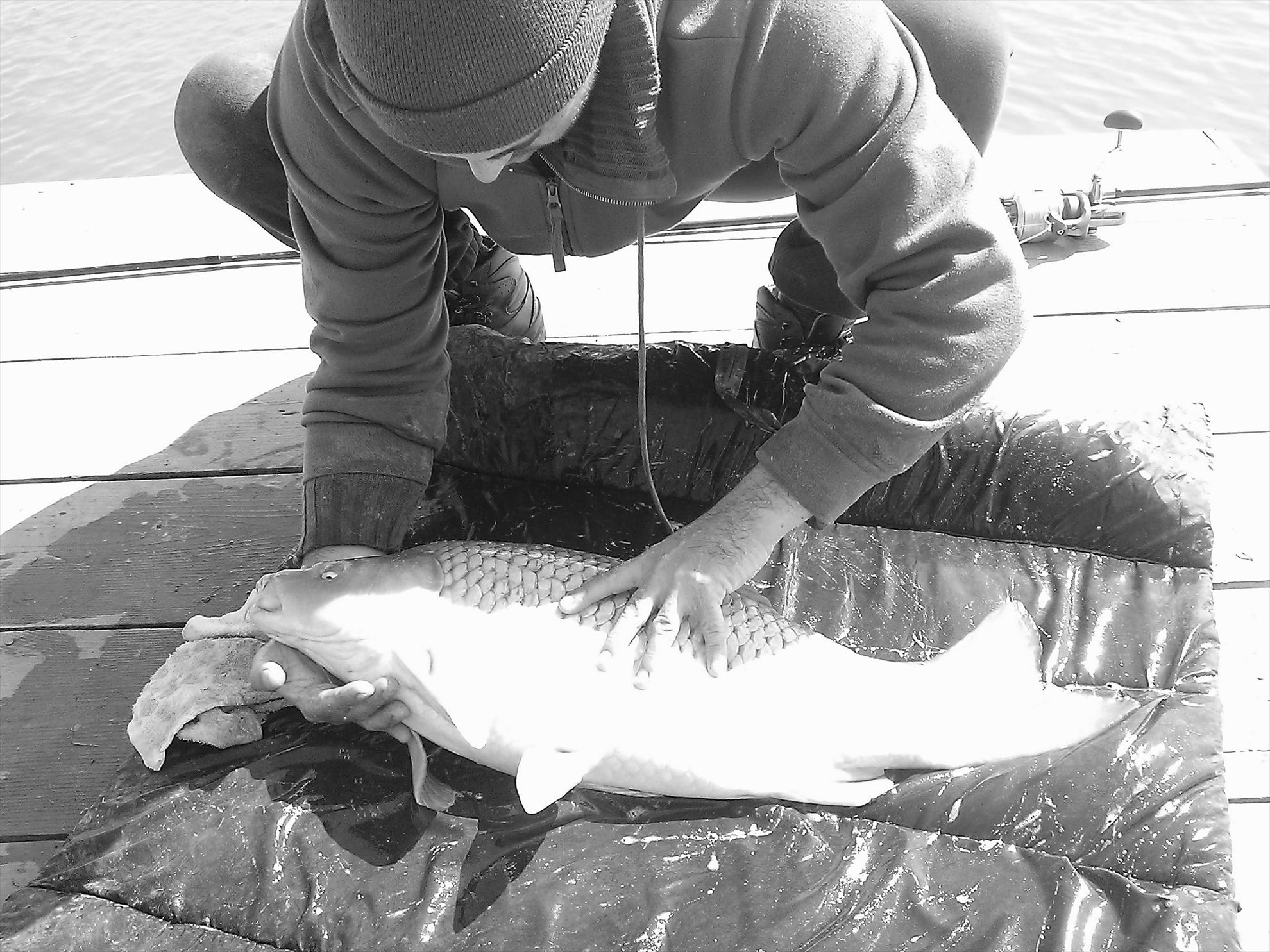 Fa-i poza daca poti... - wp2013032303711.jpg